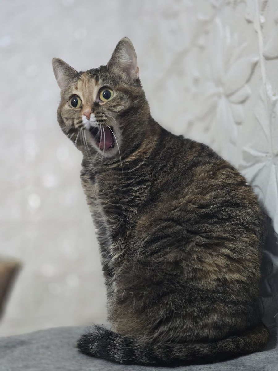 Ксюша с открытым ртом поет эмоционально