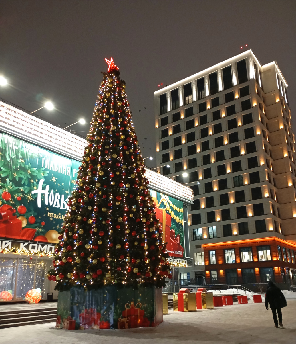 Новосибирск за месяц до нового года.