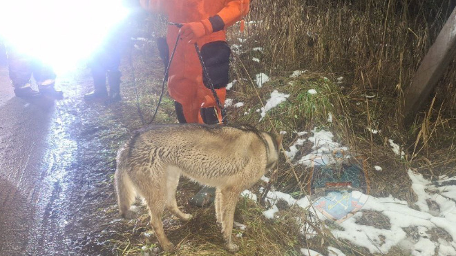Фото: Аварийно-спасательная служба Ленинградской области