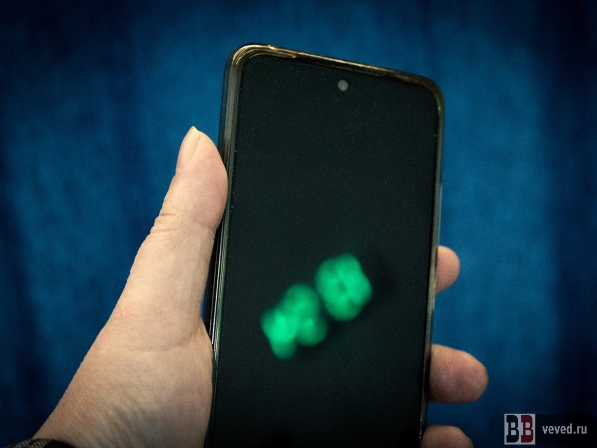     Фото: Андрей Гоголев / Вечерние ведомости