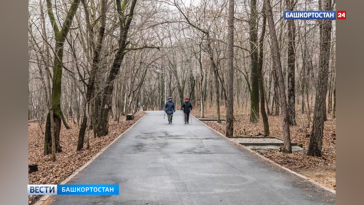    В Уфе завершили первый этап благоустройства Непейцевского дендропарка