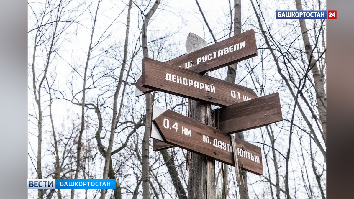    В Уфе завершили первый этап благоустройства Непейцевского дендропарка