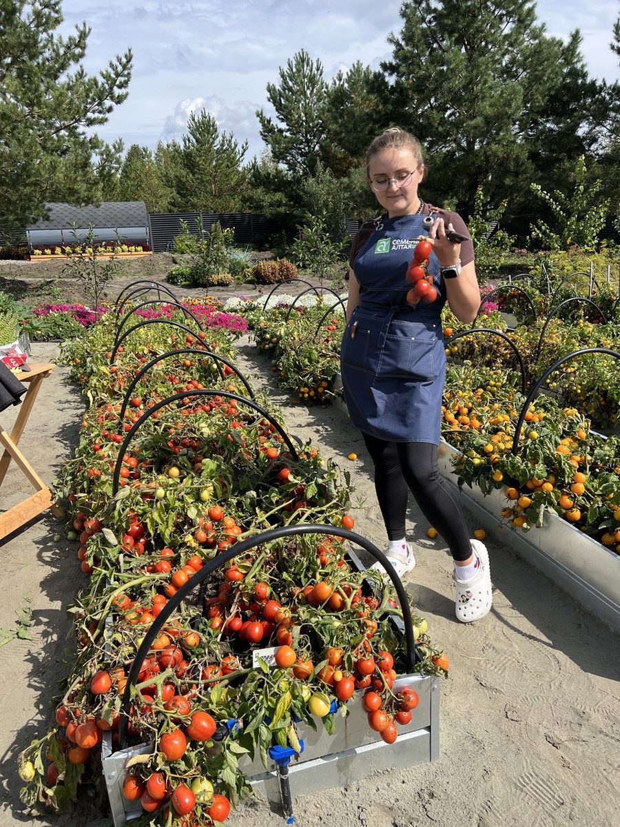 Можно пролистать галерею справа налево, второе фото - кисть крупным планом