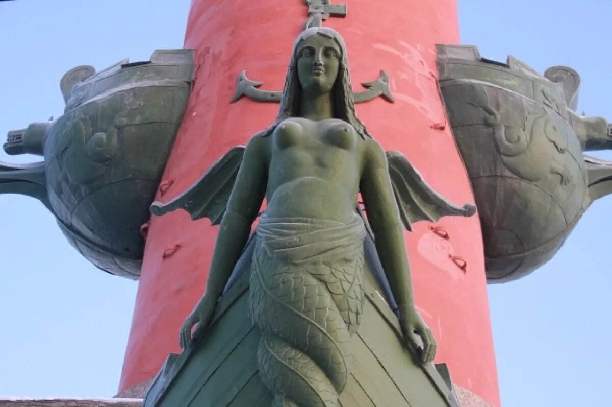    Зима в Петербурге началась с аномально высоких температур