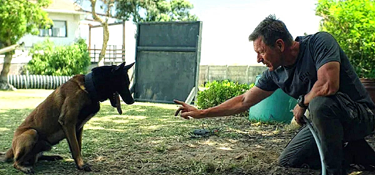 - Ты зачем, такой-сякой, мой потайной электрокабель перегрыз? Мне что, теперь из-за тебя за свет по счётчику платить? 