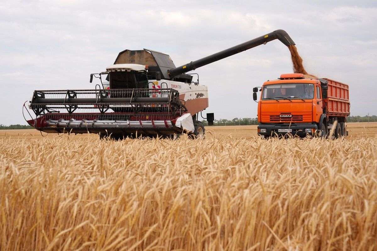     / Источник: © ИЗВЕСТИЯ/Эдуард Корниенко