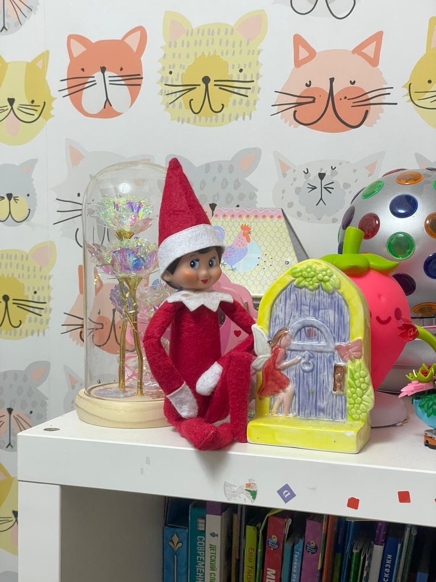 Эрика считает, что Эльф появляется из этой дверки