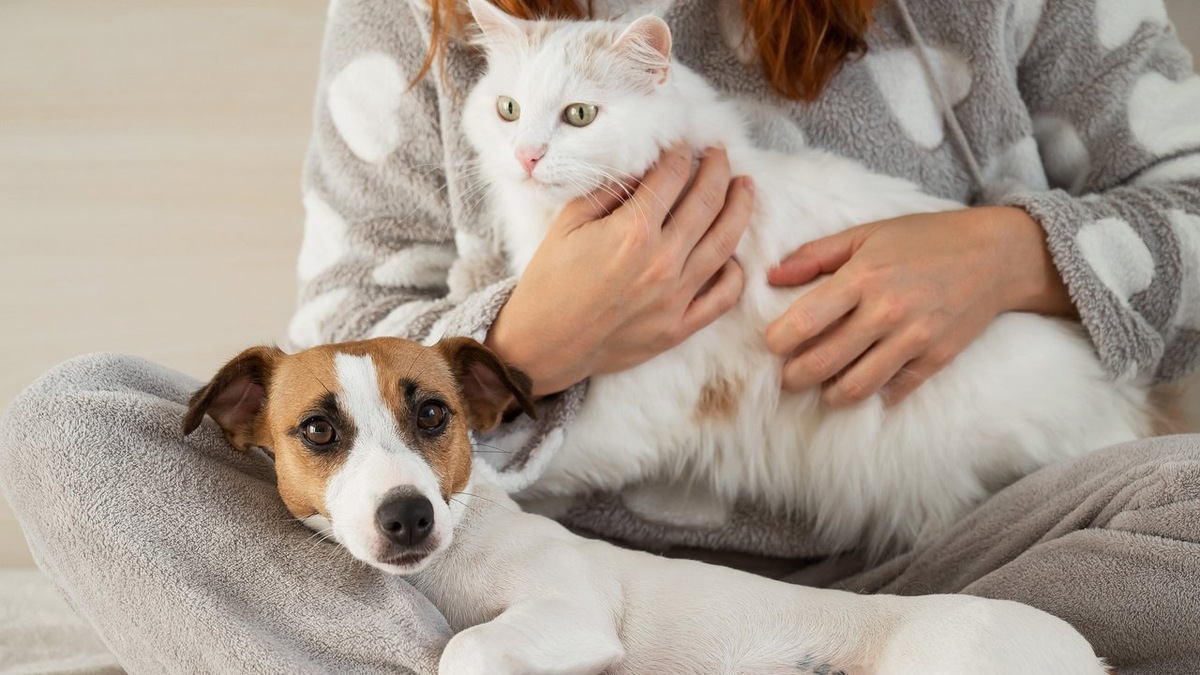 Фото из окрытых источников