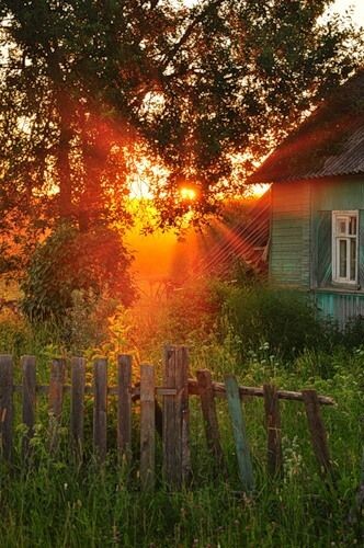 картинка из интернета