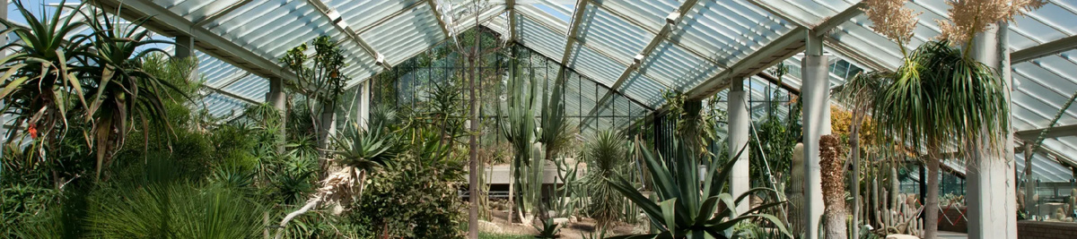Princess of Wales Conservatory. www.kew.org