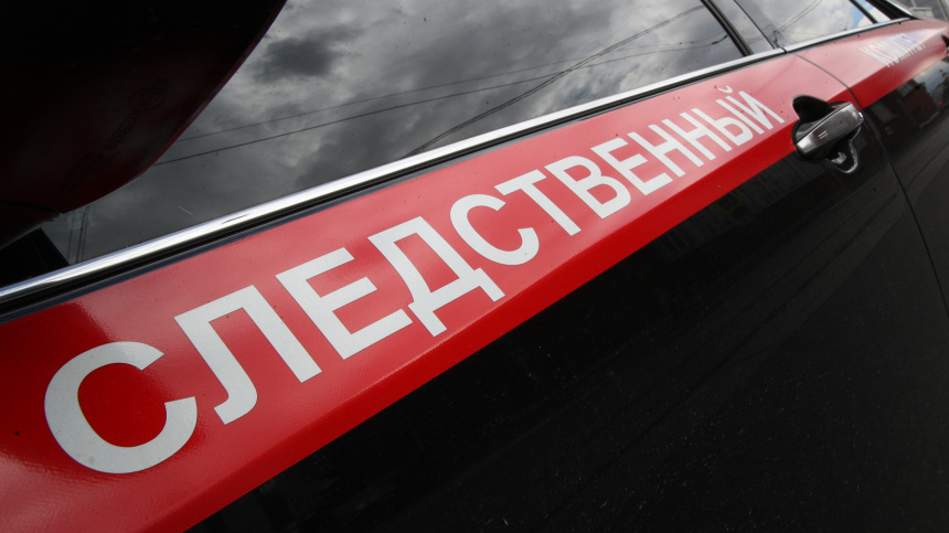    Фото: ИЗВЕСТИЯ/Зураб Джавахадзе