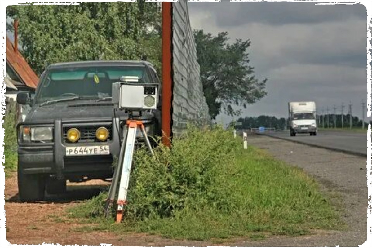 «Тренога» в кустах — символ коммерческого подхода к безопасности. Ее задача — не предупредить, а собрать кассу.