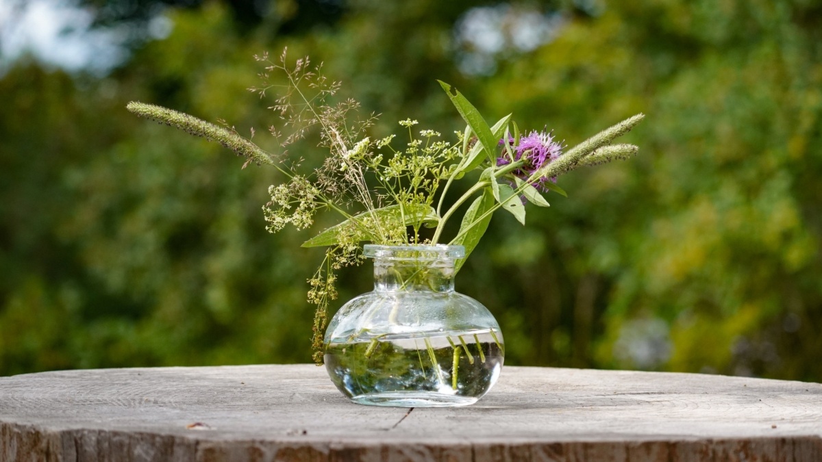 Светлана Мулыкина📷
