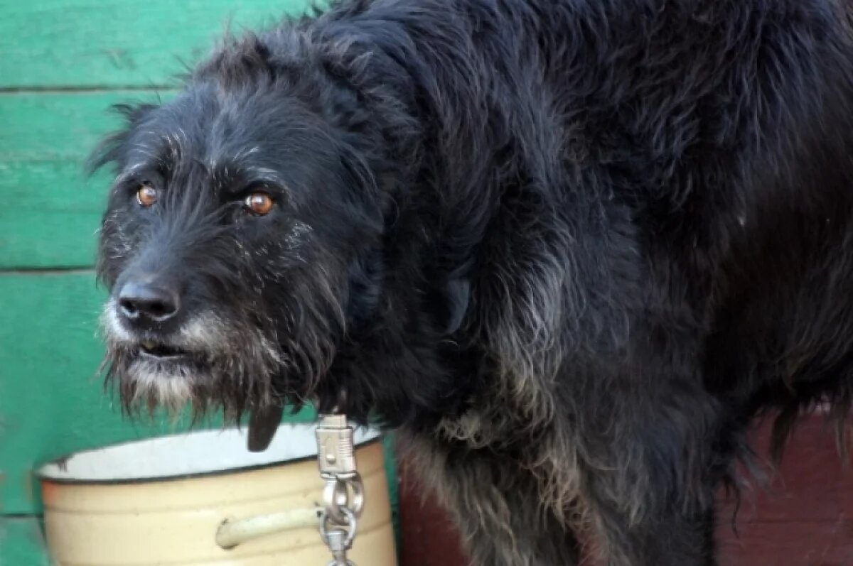    Вызов скорой обернулся трагедией для медика в Томске.