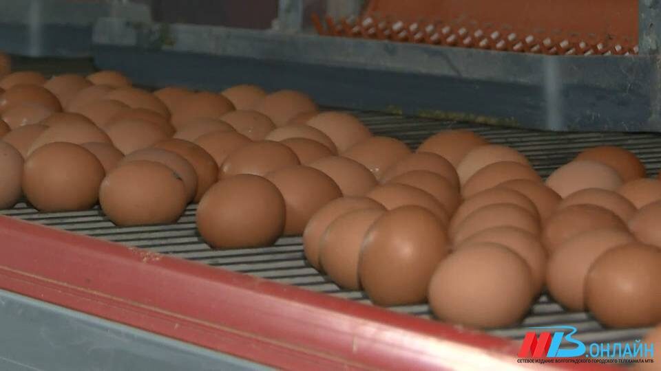    ФОТО: МТВ.ОНЛАЙН