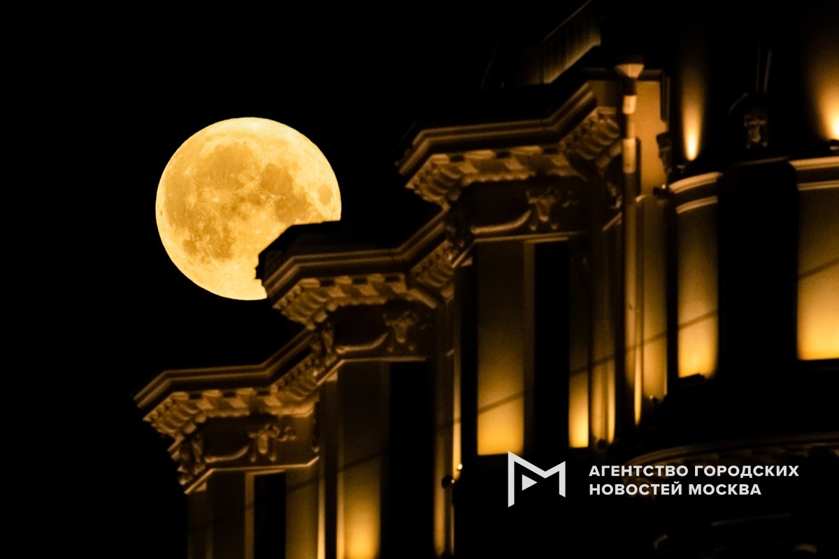 Фотограф: Софья Сандурская