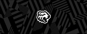    Рафаэль Рише: «В хоккей нужно играть шестьдесят минут» (источник изображения) News Express Team