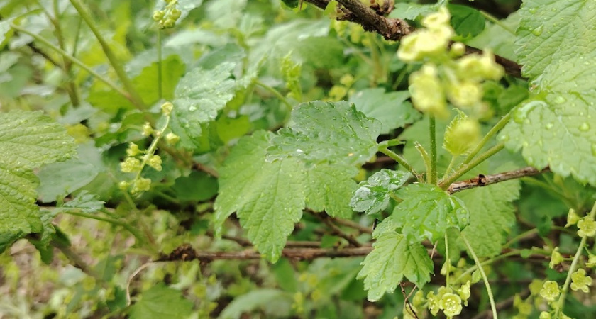    фото из архива редакции