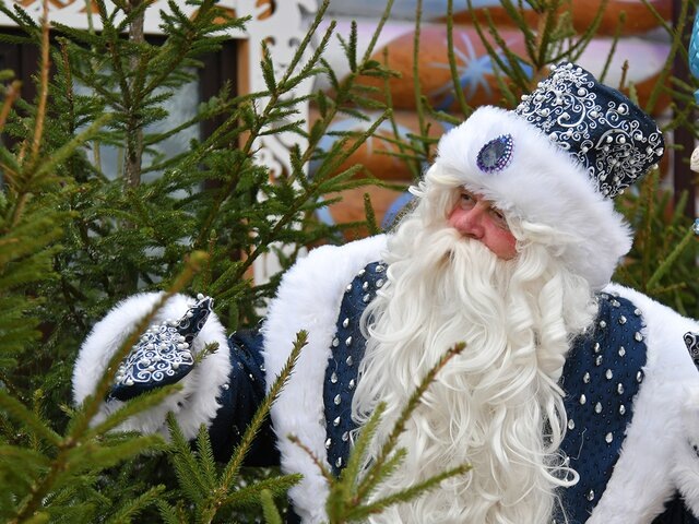    Фото: Москва 24/Антон Великжанин