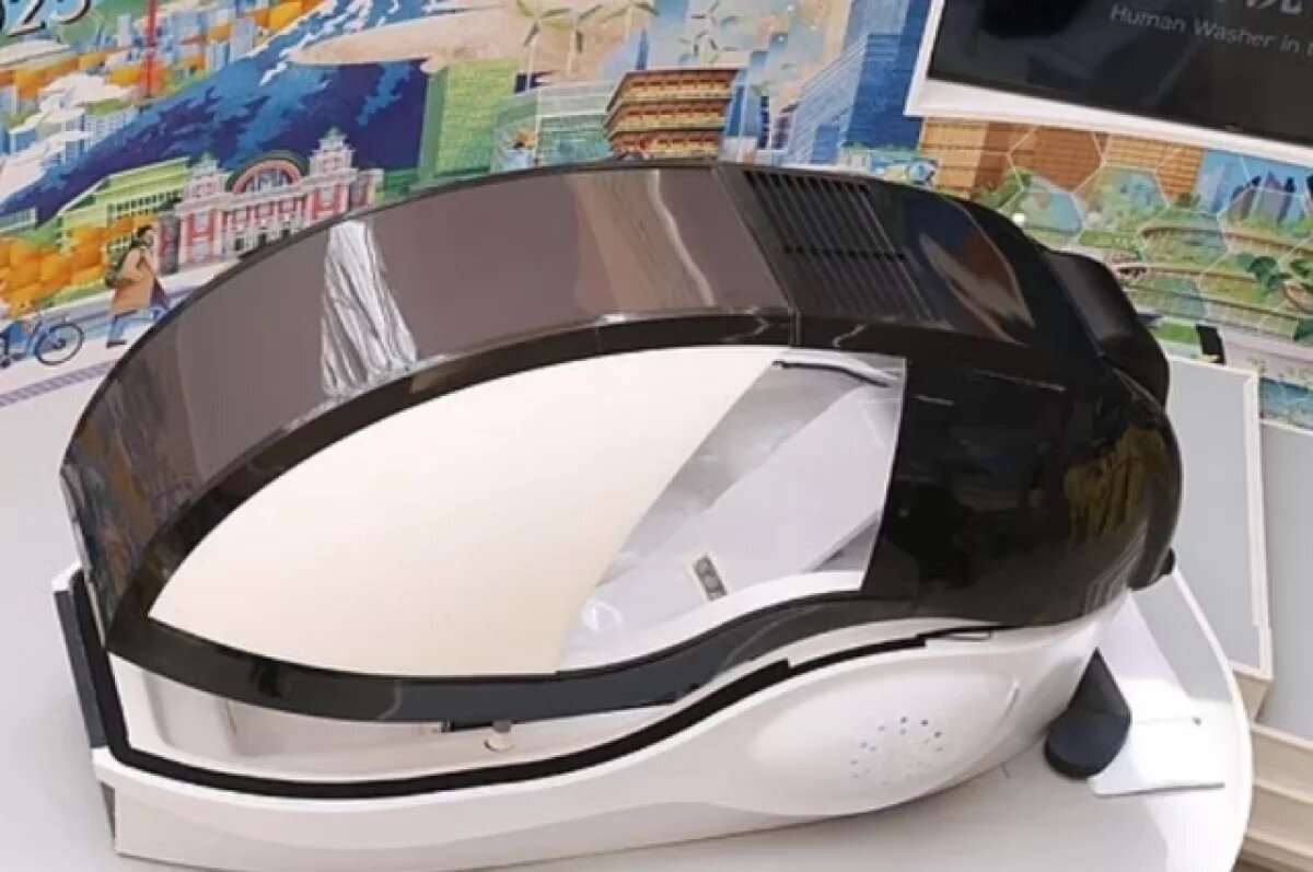    В Японии поступили в продажу машины «для стирки людей»