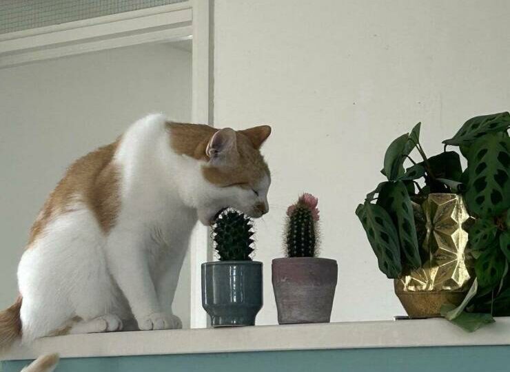 15 смешных фото, подборка забавных фотографий