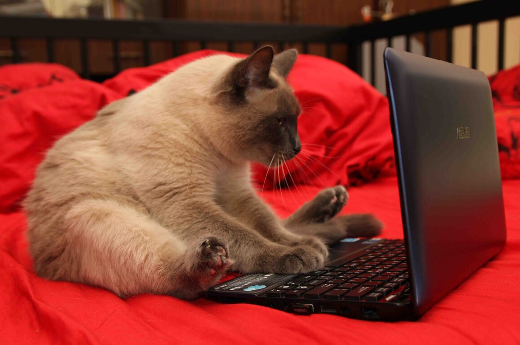 Экономия на использовании нейросети вызывает вопросы