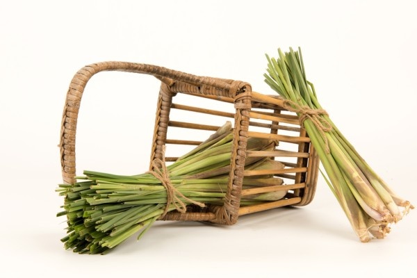 Источник фото shutterstock.com