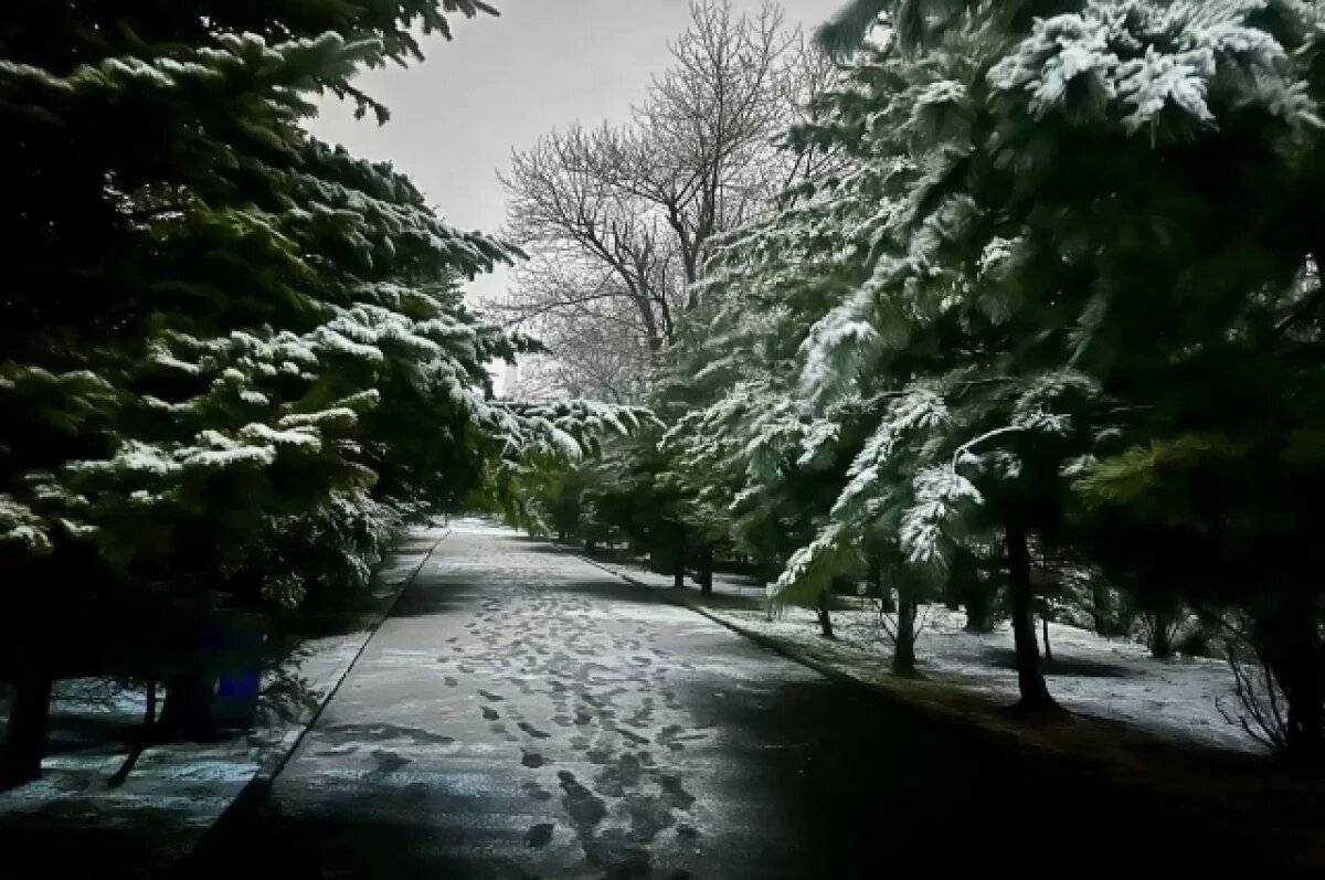    Синоптики опубликовали прогноз погоды на новогоднюю ночь