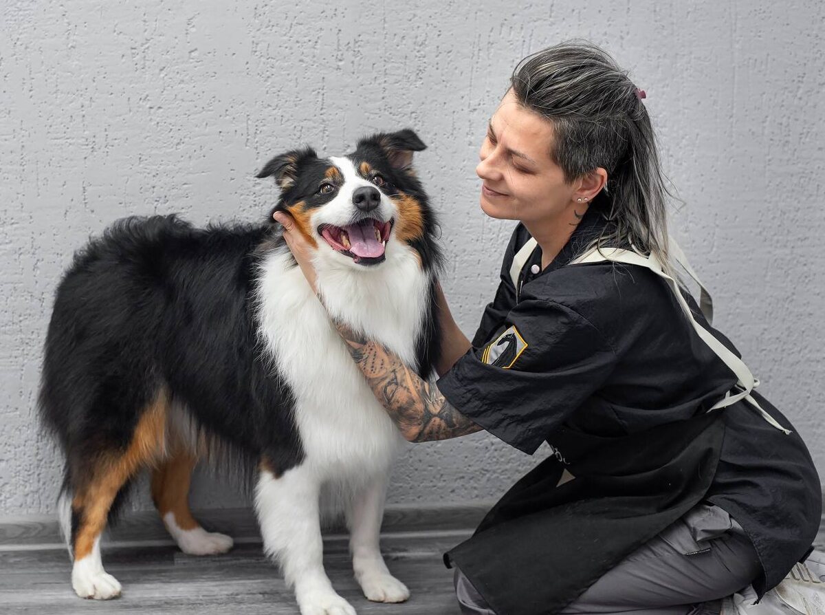 Как память и адаптация влияют на поведение кошек и собак