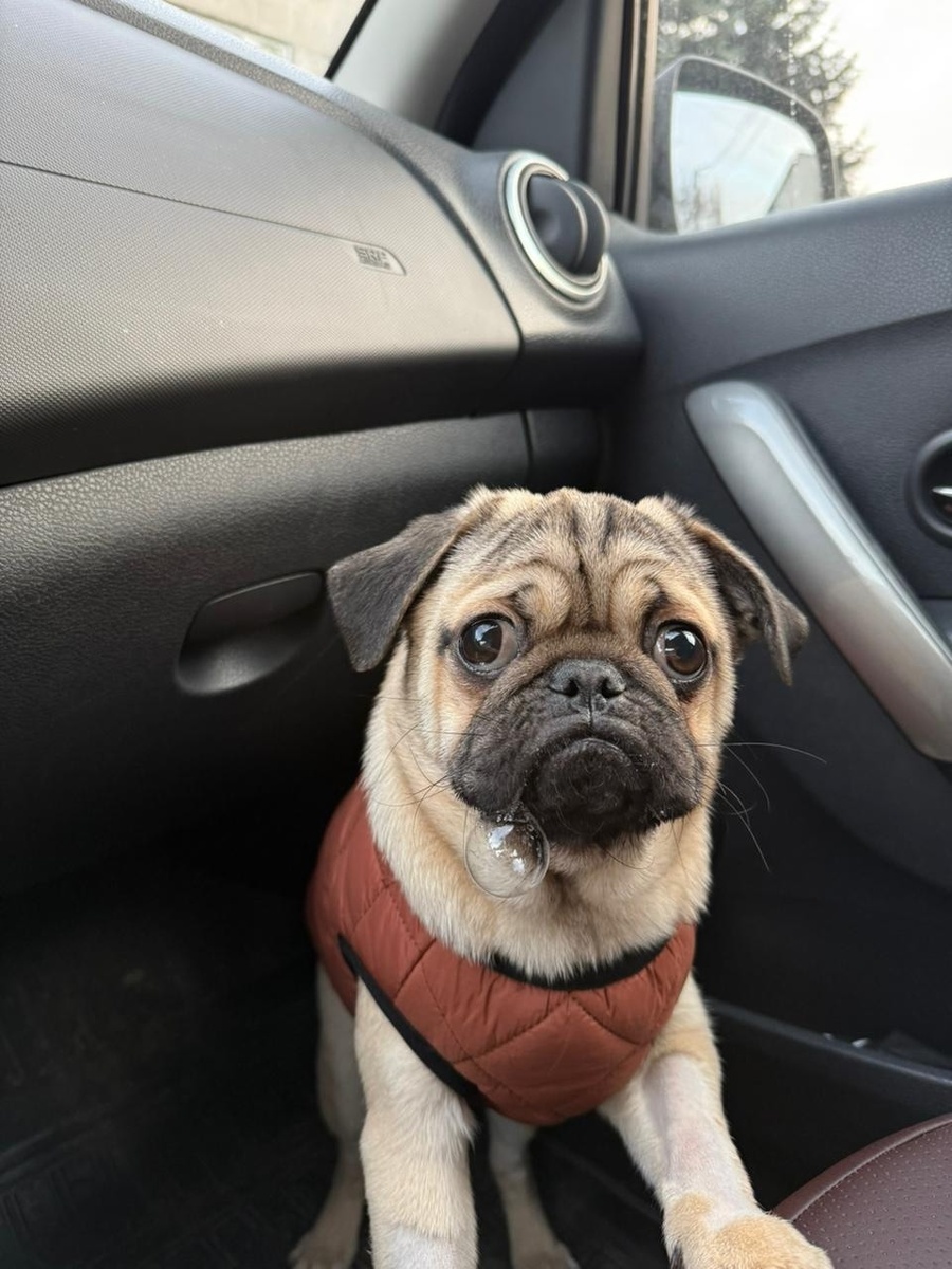 Фото: группа «Хвост трубой» ВКонтакте