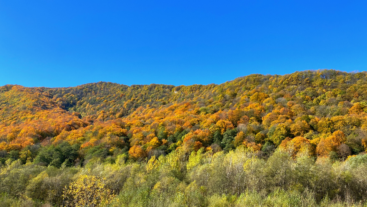 Где-то в Кармадонском ущелье 