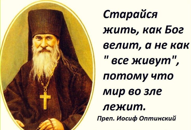 Яндекс