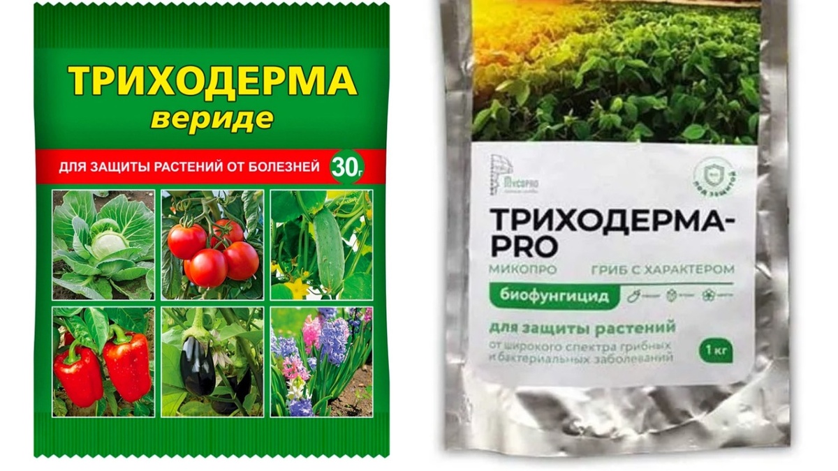 Покупная триходерма