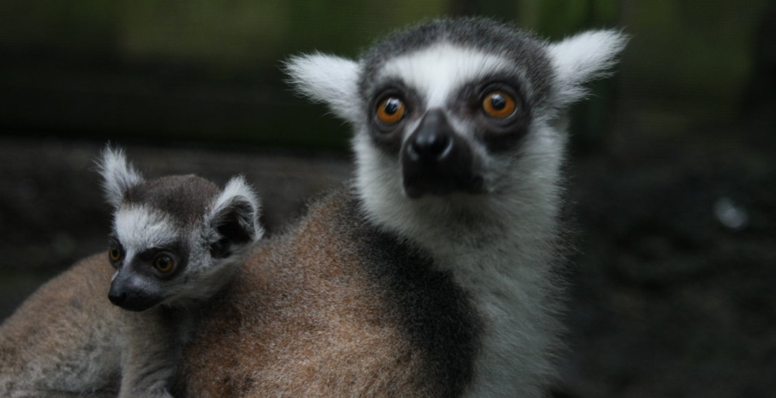    Фото: НИА "Экология"