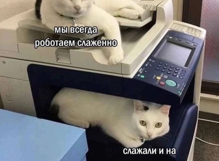 5S - важная система мейд ин джапан