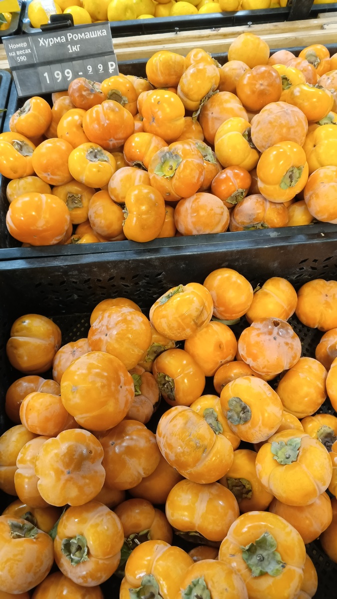 фото автора:сорт хурмы Ромашка