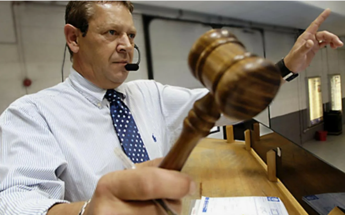 Торги по банкротству: как купить дебиторскую задолженность на торгах и действительно заработать