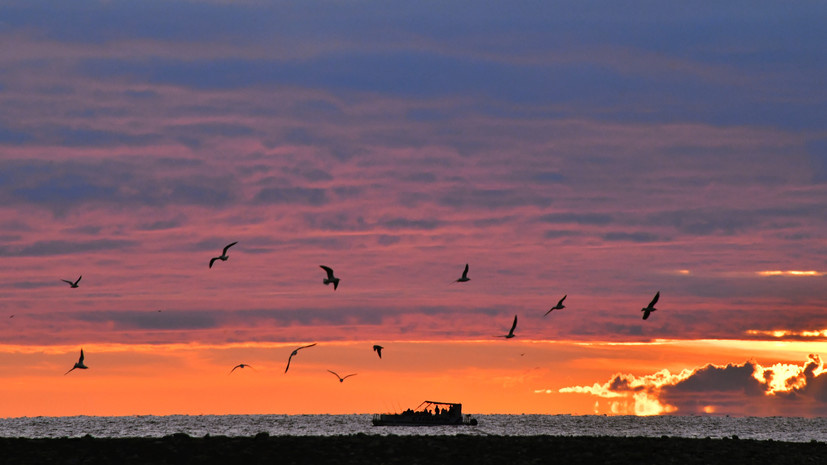   РИА Новости