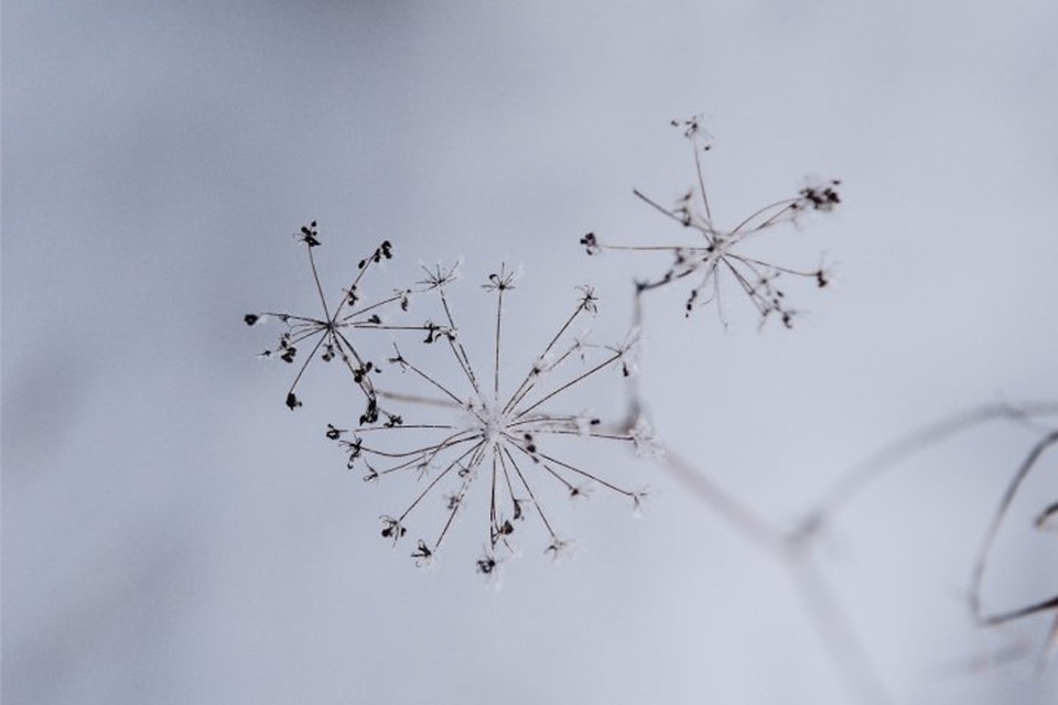    Что принесет первый месяц зимы? Фото: архив редакции