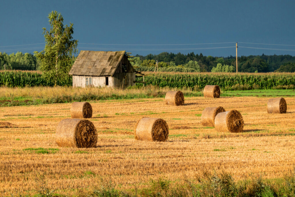    изображение от freepik