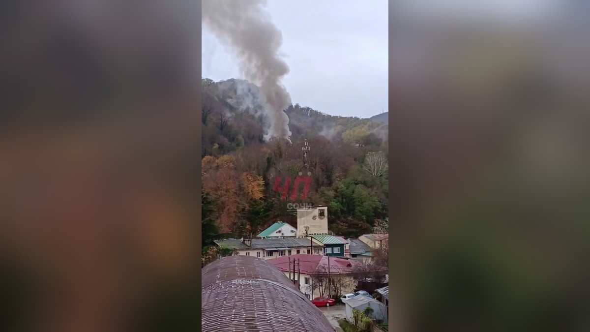    Фото t.me/chepsochi