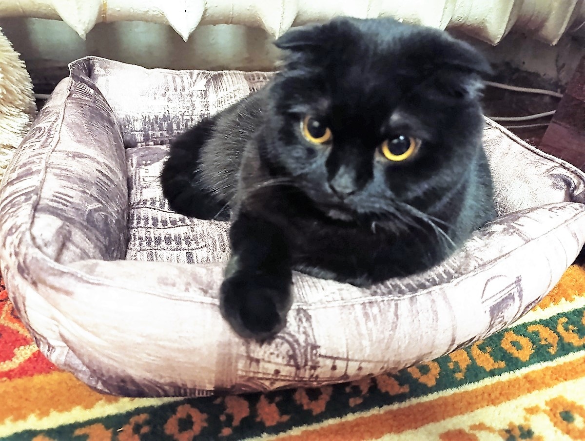 Всегда при деле! Пряник. Благодарю за фото Марину АБРОЧНОВУ)