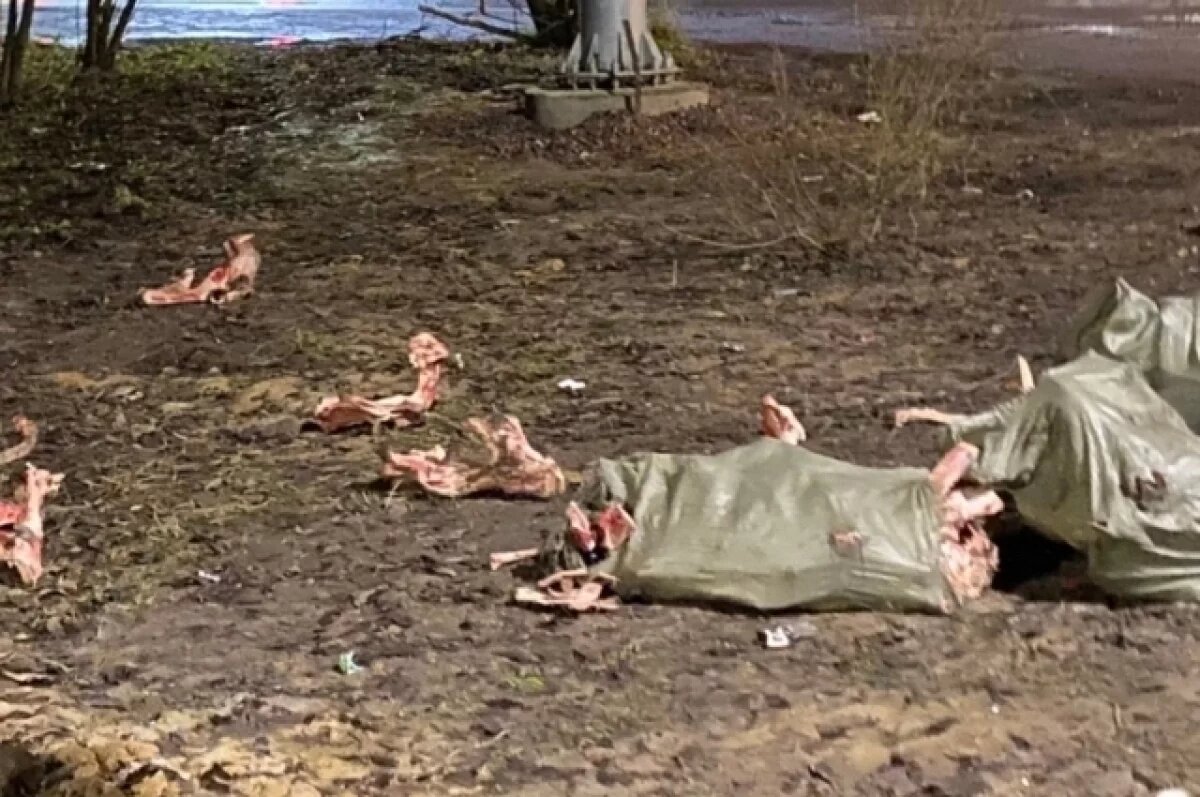    У детской площадки в Петро-Славянке сделали свалку коровьих голов