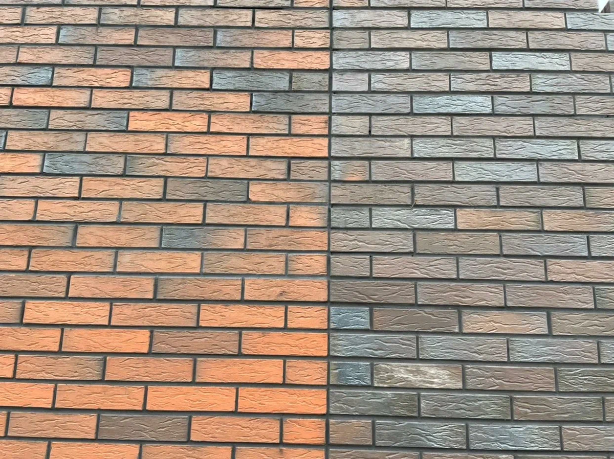 Разнобразие цветов.