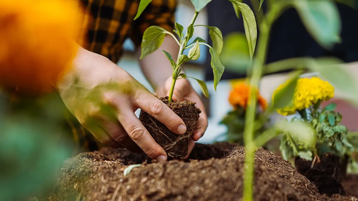    Фото: vm.ru Евгений Иванов