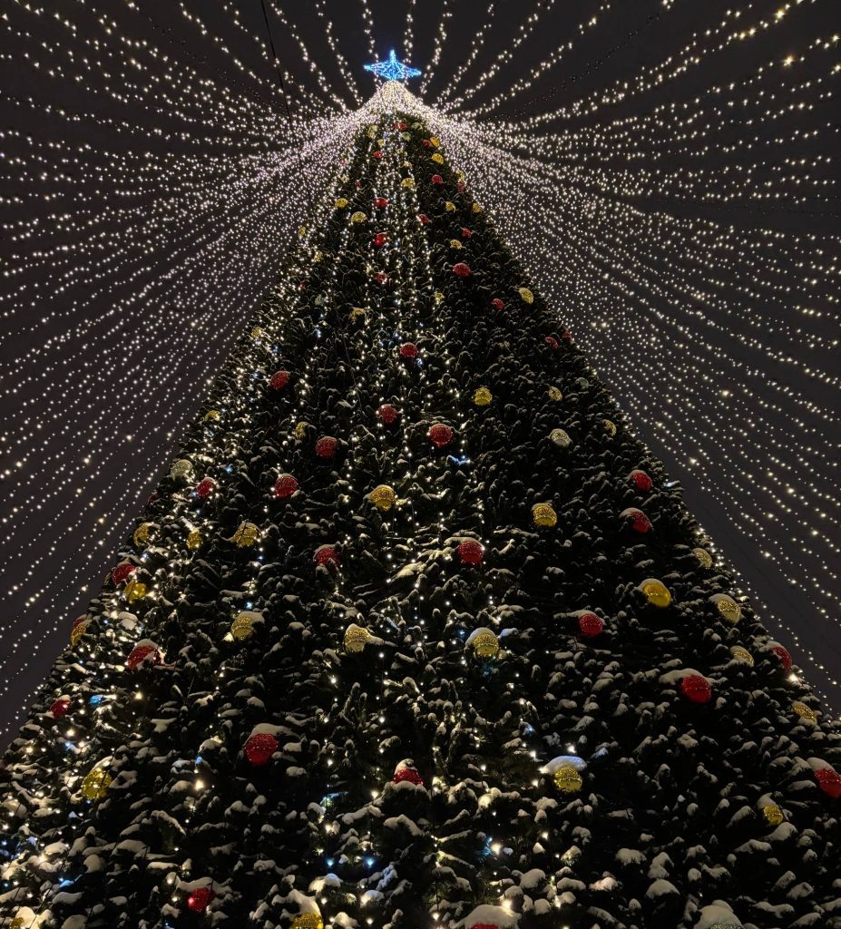    Григорьев Игорь