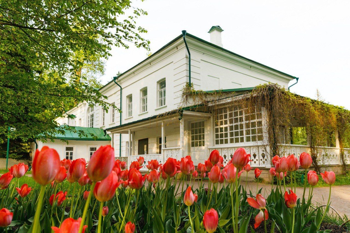 Ясная Поляна. Фото с телеграм-канала Музея-усадьбы Л.Н. Толстого