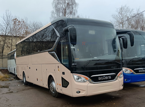 Прекрасное, розовое безе.=)