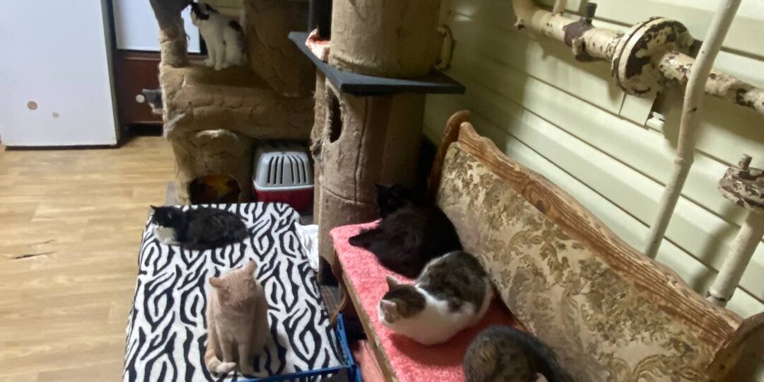 Спасибо за помощь и поддержку, друзья