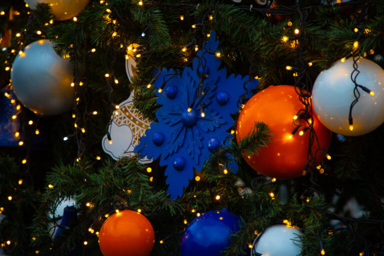    Фото: Общественная Служба Новостей Илья Федоров